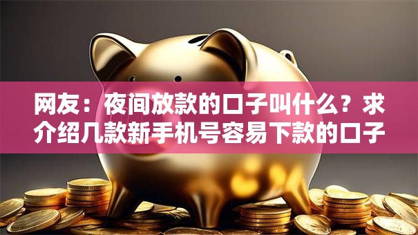 网友：夜间放款的口子叫什么？求介绍几款新手机号容易下款的口子