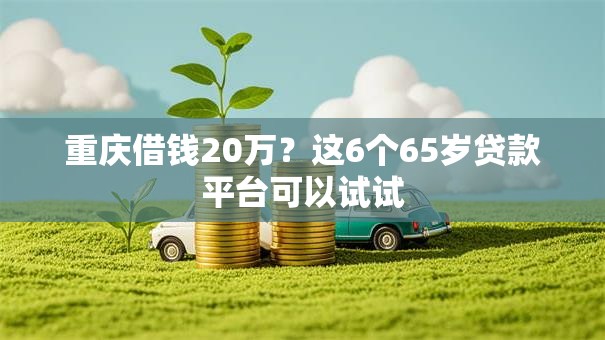 重庆借钱20万？这6个65岁贷款平台可以试试