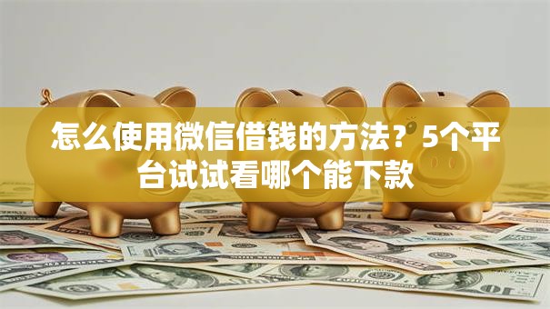 怎么使用微信借钱的方法？5个平台试试看哪个能下款