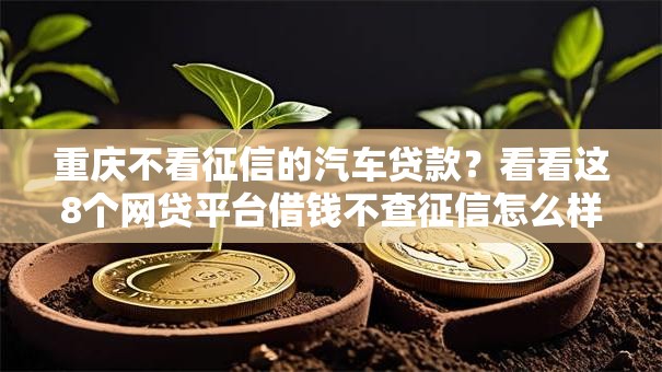 重庆不看征信的汽车贷款?看看这8个网贷平台借钱不查征信怎么样 重庆不看征信的汽车贷款?看看这8个网贷平台借钱不查征信怎么样
