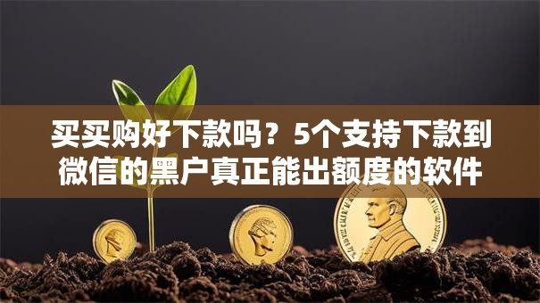 买买购好下款吗？5个支持下款到微信的黑户真正能出额度的软件