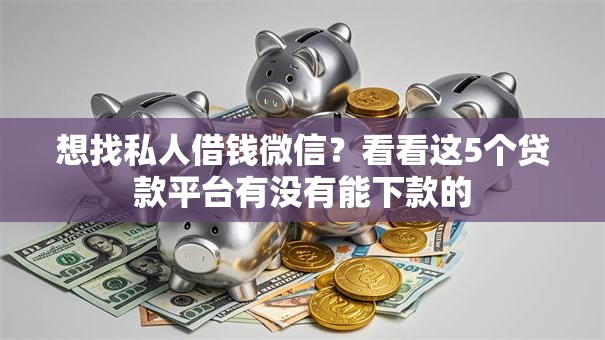 想找私人借钱微信？看看这5个贷款平台有没有能下款的