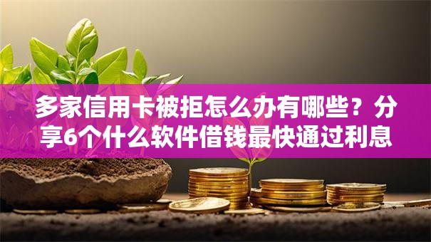 多家信用卡被拒怎么办有哪些?分享6个什么软件借钱最快通过利息低 多家信用卡被拒怎么办有哪些?分享6个什么软件借钱最快通过利息低