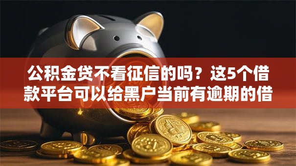 公积金贷不看征信的吗？这5个借款平台可以给黑户当前有逾期的借款一万值得一试