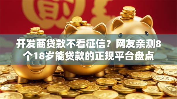 开发商贷款不看征信？网友亲测8个18岁能贷款的正规平台盘点