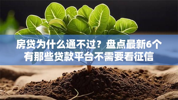 房贷为什么通不过？盘点最新6个有那些贷款平台不需要看征信