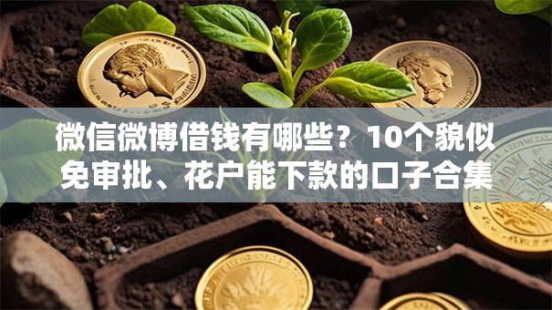 微信微博借钱有哪些?10个貌似免审批、花户能下款的口子合集 微信微博借钱有哪些?10个貌似免审批、花户能下款的口子合集