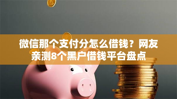 微信那个支付分怎么借钱？网友亲测8个黑户借钱平台盘点