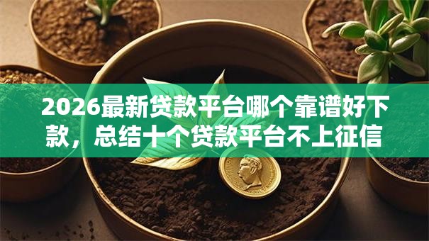 2026最新贷款平台哪个靠谱好下款，总结十个贷款平台不上征信！