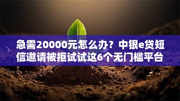 急需20000元怎么办?中银e贷短信邀请被拒试试这6个无门槛平台 急需20000元怎么办?中银e贷短信邀请被拒试试这6个无门槛平台