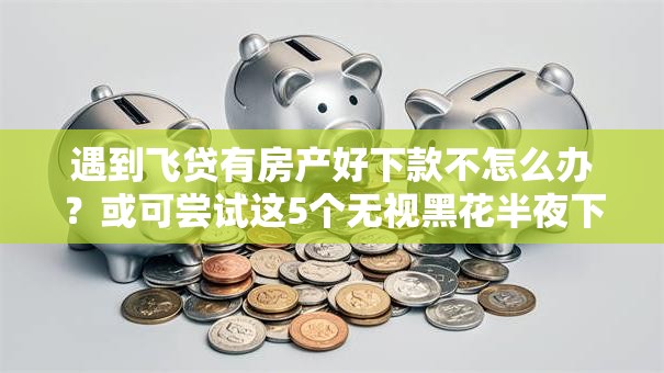 遇到飞贷有房产好下款不怎么办？或可尝试这5个无视黑花半夜下款的网贷平台