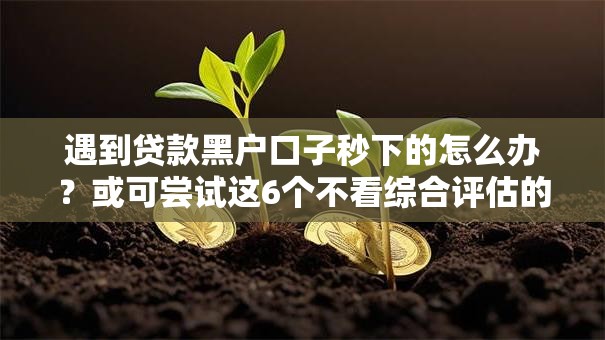 遇到贷款黑户口子秒下的怎么办？或可尝试这6个不看综合评估的百分百下款的软件