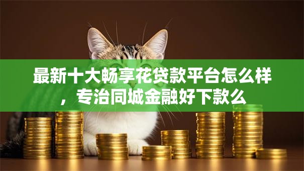 最新十大畅享花贷款平台怎么样，专治同城金融好下款么