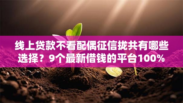 线上贷款不看配偶征信拢共有哪些选择？9个最新借钱的平台100%能借到详解
