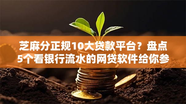 芝麻分正规10大贷款平台?盘点5个看银行流水的网贷软件给你参考 芝麻分正规10大贷款平台?盘点5个看银行流水的网贷软件给你参考