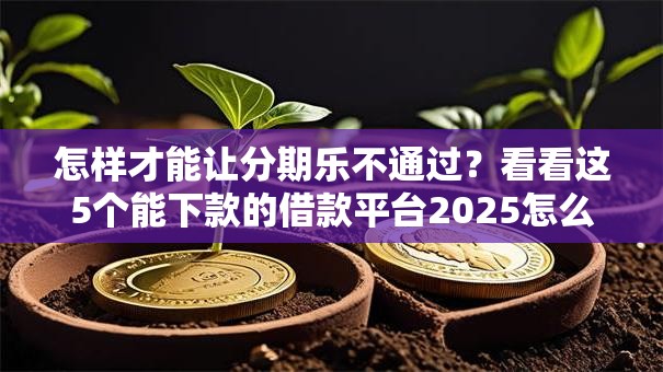 怎样才能让分期乐不通过？看看这5个能下款的借款平台2025怎么样