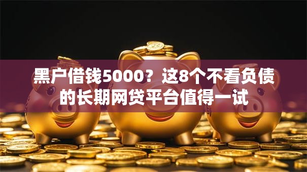 黑户借钱5000？这8个不看负债的长期网贷平台值得一试