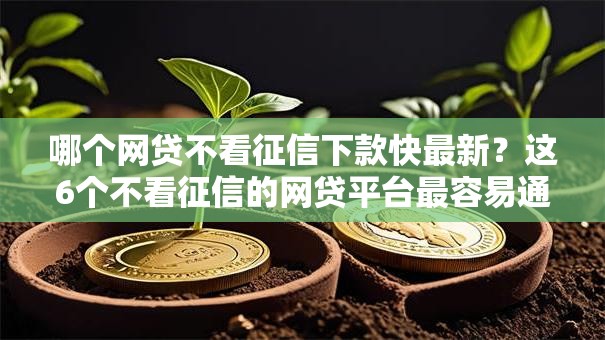 哪个网贷不看征信下款快最新？这6个不看征信的网贷平台最容易通过的值得一试