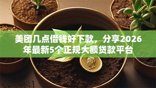 美团几点借钱好下款，分享2026年最新5个正规大额贷款平台