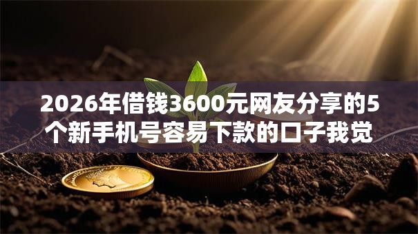 2026年借钱3600元网友分享的5个新手机号容易下款的口子我觉得不错！