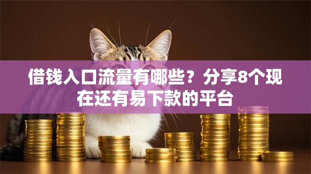 借钱入口流量有哪些？分享8个现在还有易下款的平台
