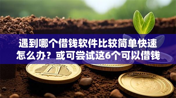 遇到哪个借钱软件比较简单快速怎么办？或可尝试这6个可以借钱的平台