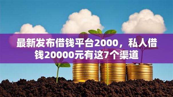 最新发布借钱平台2000，私人借钱20000元有这7个渠道