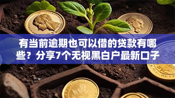 有当前逾期也可以借的贷款有哪些？分享7个无视黑白户最新口子