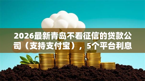 2026最新青岛不看征信的贷款公司（支持支付宝），5个平台利息又低又正规无私分享