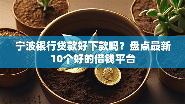 宁波银行贷款好下款吗？盘点最新10个好的借钱平台