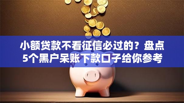 小额贷款不看征信必过的？盘点5个黑户呆账下款口子给你参考
