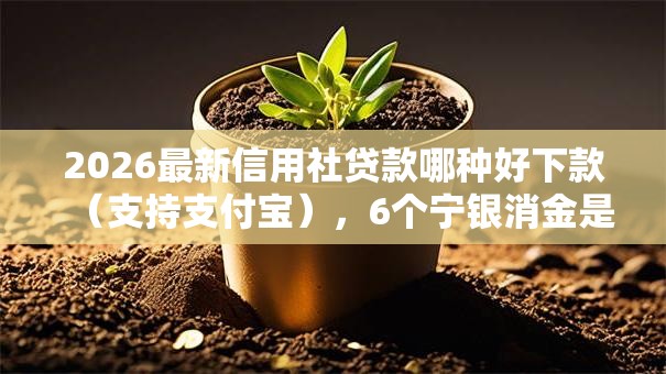2026最新信用社贷款哪种好下款（支持支付宝），6个宁银消金是什么贷款平台无私分享