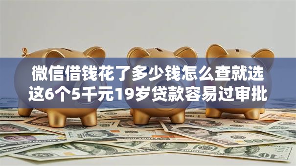 微信借钱花了多少钱怎么查就选这6个5千元19岁贷款容易过审批的平台