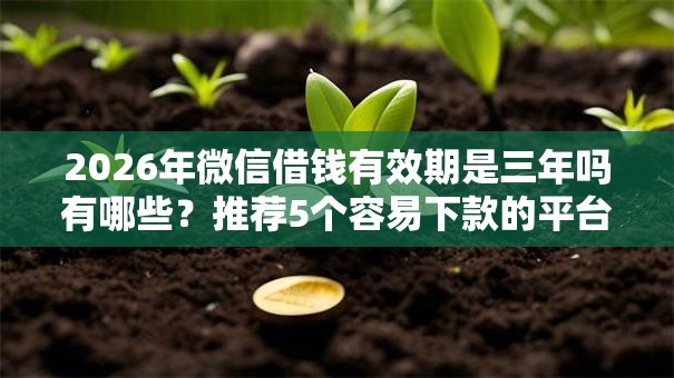 2026年微信借钱有效期是三年吗有哪些？推荐5个容易下款的平台