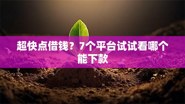 超快点借钱？7个平台试试看哪个能下款