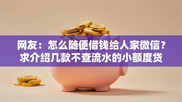 网友：怎么随便借钱给人家微信？求介绍几款不查流水的小额度贷款软件