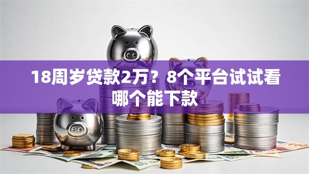 18周岁贷款2万？8个平台试试看哪个能下款