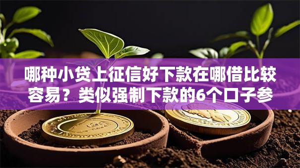 哪种小贷上征信好下款在哪借比较容易？类似强制下款的6个口子参考