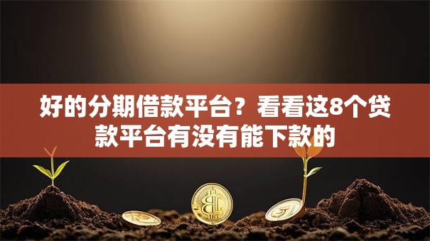 好的分期借款平台？看看这8个贷款平台有没有能下款的