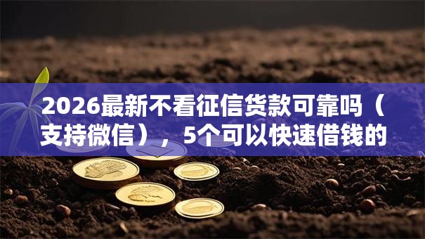 2026最新不看征信货款可靠吗（支持微信），5个可以快速借钱的平台无私分享
