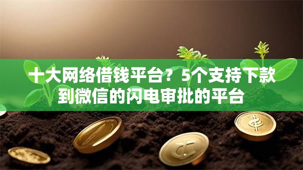 十大网络借钱平台？5个支持下款到微信的闪电审批的平台