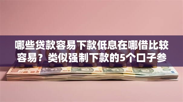 哪些贷款容易下款低息在哪借比较容易？类似强制下款的5个口子参考