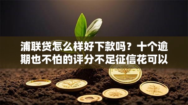 浦联贷怎么样好下款吗？十个逾期也不怕的评分不足征信花可以借的平台