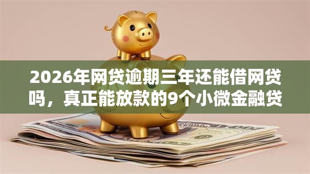 2026年网贷逾期三年还能借网贷吗，真正能放款的9个小微金融贷款平台推荐