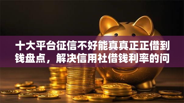 十大平台征信不好能真真正正借到钱盘点，解决信用社借钱利率的问题