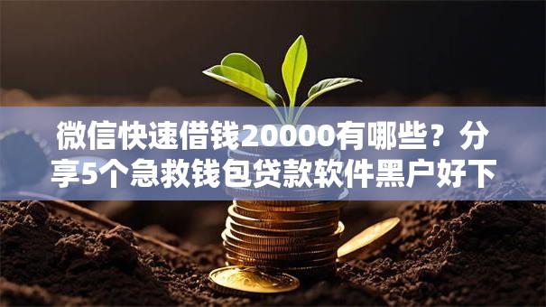 微信快速借钱20000有哪些？分享5个急救钱包贷款软件黑户好下款