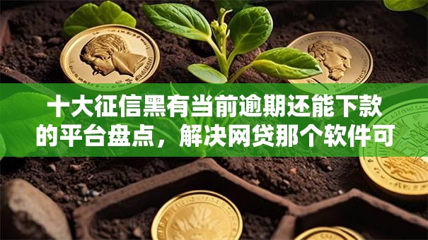 十大征信黑有当前逾期还能下款的平台盘点，解决网贷那个软件可靠的问题