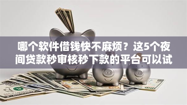 哪个软件借钱快不麻烦？这5个夜间贷款秒审核秒下款的平台可以试试