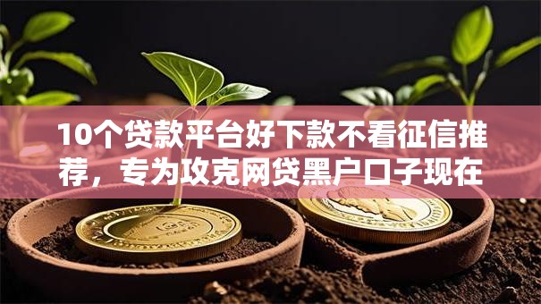 10个贷款平台好下款不看征信推荐,专为攻克网贷黑户口子现在难题 10个贷款平台好下款不看征信推荐,专为攻克网贷黑户口子现在难题