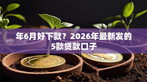 年6月好下款？2026年最新发的5款贷款口子